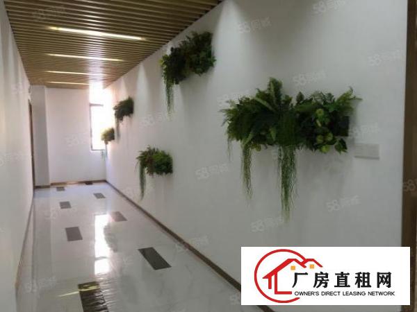  龙岗中心城独门独院厂房5000平米，可分租现成装修带红本