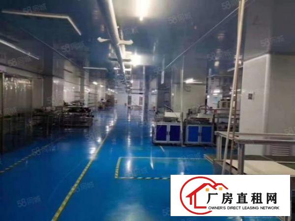  龙岗中心城厂房出租独门独院1180平8080平可分租可整租