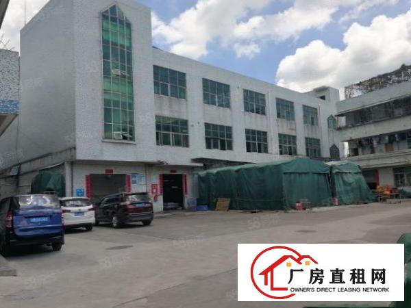  龙岗新出独门独院3000平米原房东厂房出租地铁口附近交通便利