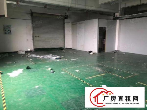  南联怡丰路楼上45平和55平米厂房办公室电商出租