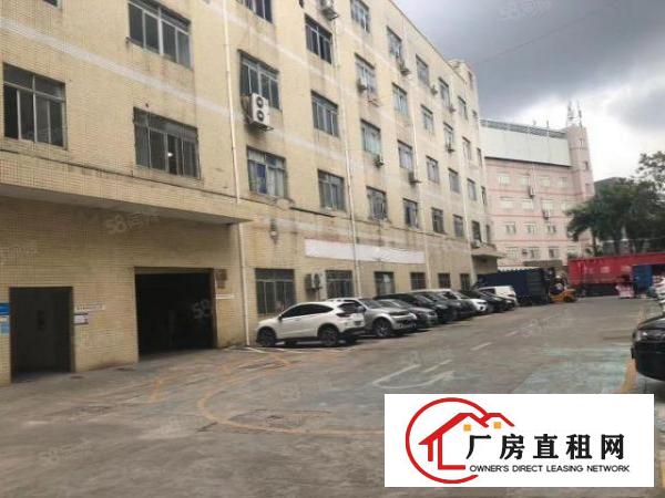  南联怡丰路楼上45平和55平米厂房办公室电商出租