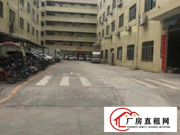  南联怡丰路楼上45平和55平米厂房办公室电商出租