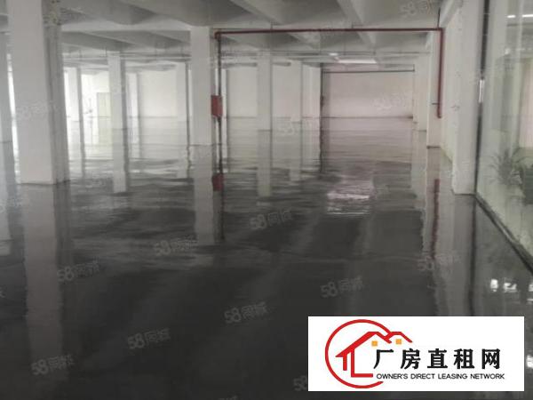  15块！带地坪漆！龙岗同乐原房东1000平2楼厂房出租有电梯