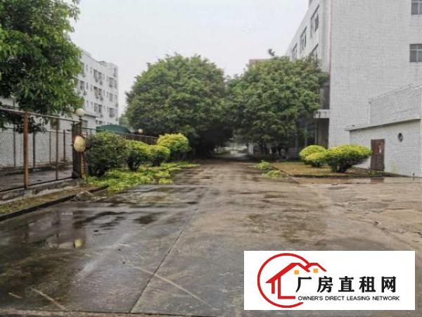  15块！带地坪漆！龙岗同乐原房东1000平2楼厂房出租有电梯