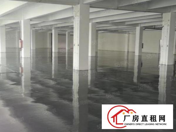  15块！带地坪漆！龙岗同乐原房东1000平2楼厂房出租有电梯