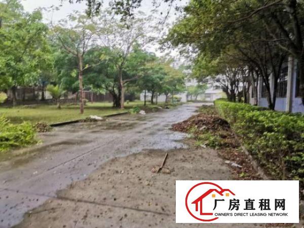  15块！带地坪漆！龙岗同乐原房东1000平2楼厂房出租有电梯