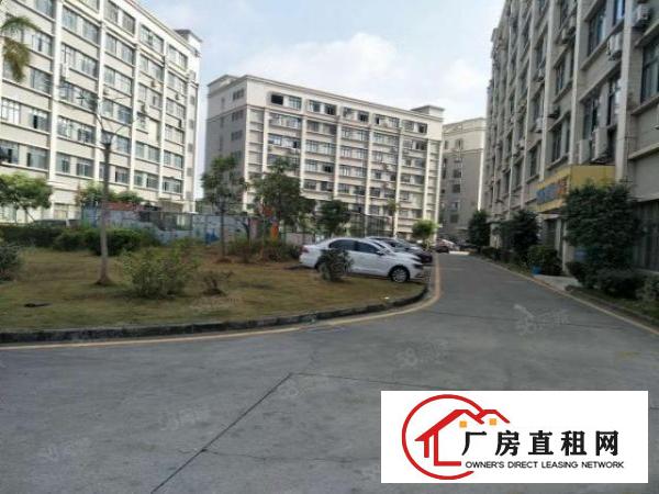  龙岗爱联新出1050平带无尘车间厂房出租