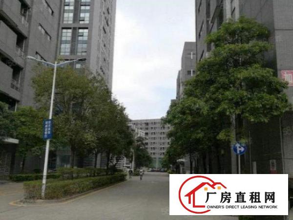  龙岗五联市场附近一楼标准5米整层1500平厂房招租