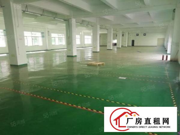  龙岗五联市场附近一楼标准5米整层1500平厂房招租