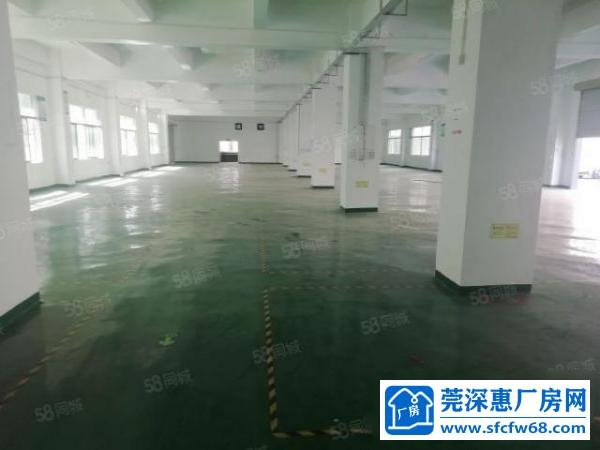  龙岗五联市场附近一楼标准5米整层1500平厂房招租