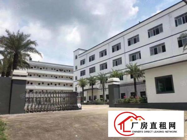  龙岗同乐原房东独院厂房5000平出租，可分租