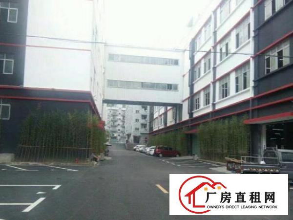  龙岗宝龙带卸货平台单层1900平空地1万