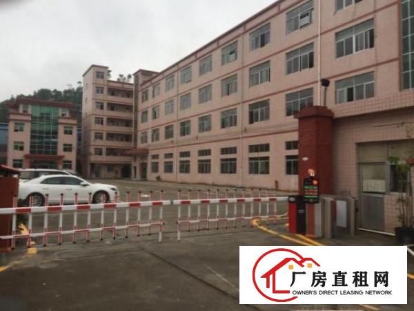  龙岗中心城大工业区900平楼上精装修厂房出租