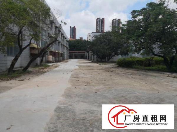  龙岗大道边上（独院厂房）约26000平厂房出租可做商业