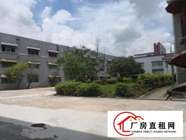  龙岗大道边上（独院厂房）约26000平厂房出租可做商业