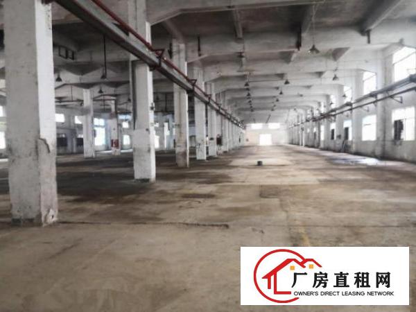 龙岗大道边上（独院厂房）约26000平厂房出租可做商业