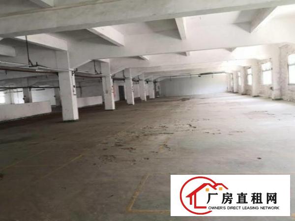  龙岗大道边上（独院厂房）约26000平厂房出租可做商业