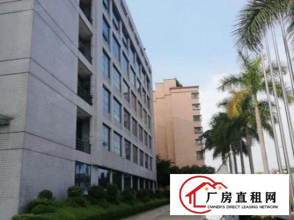  龙岗爱南路附近一楼2500平方招租租金28块可分租