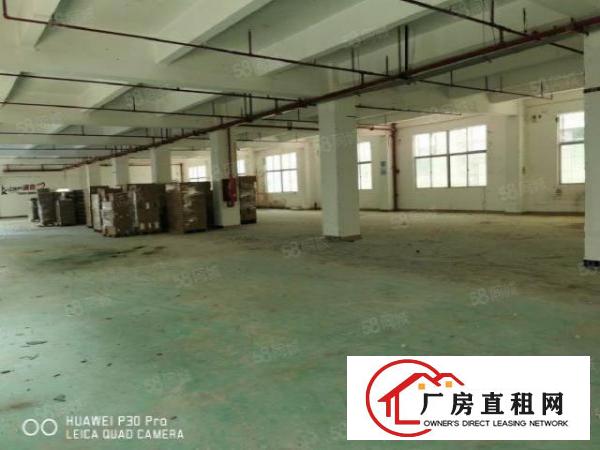 龙岗同乐新出楼上1250平红本原房东厂房实际面积出租可分租