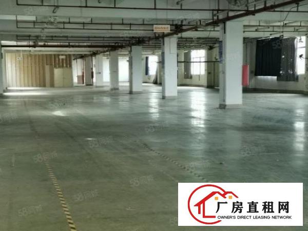  龙岗吉祥1000平500平起租独门独院可分租消防喷淋可办环评