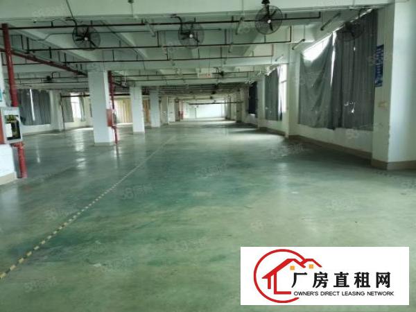  龙岗吉祥1000平500平起租独门独院可分租消防喷淋可办环评