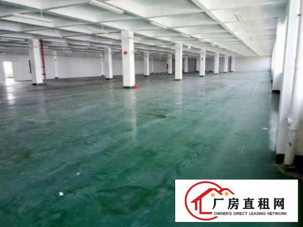  龙岗宝龙1000平1500平2500平4200平厂房出租招租