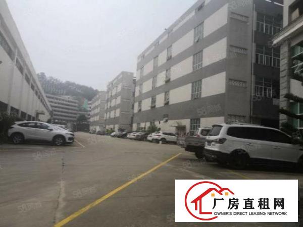  龙岗宝龙1000平1500平2500平4200平厂房出租招租
