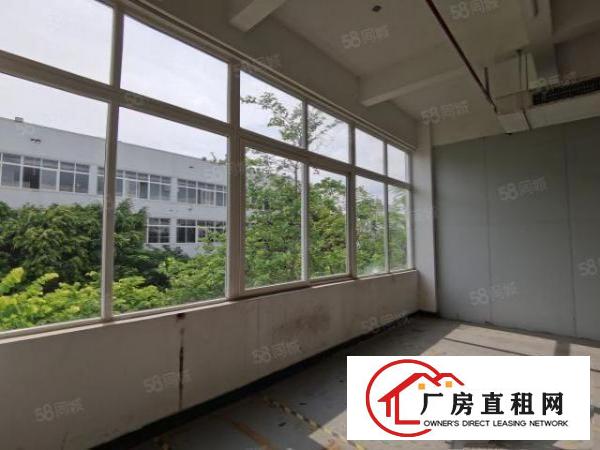  龙岗宝龙单层4500整栋18000平方米花园式厂房出租可分租