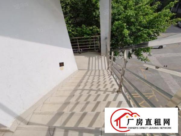  龙岗宝龙单层4500整栋18000平方米花园式厂房出租可分租