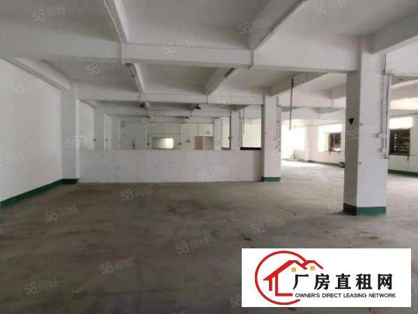  龙岗中心城五联新出一楼500平厂房出租层高5米报价22元可分