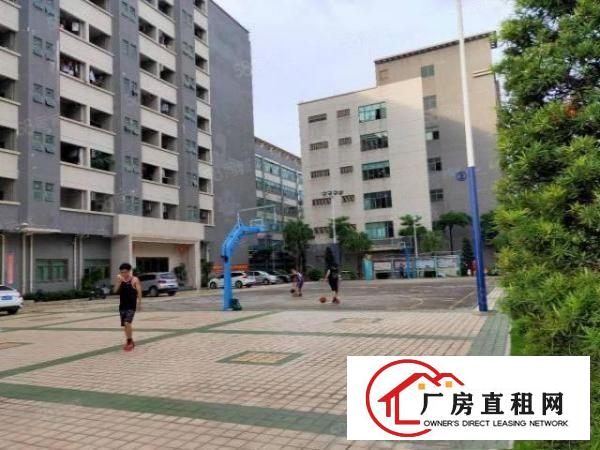  龙岗同乐新出楼上1500平红本原房东厂房实际面积出租可分租