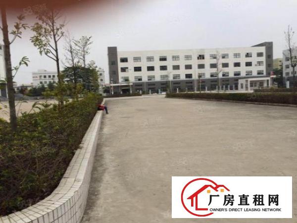  龙岗大型科技园1000平米起租带红本有装修（有政府补贴）