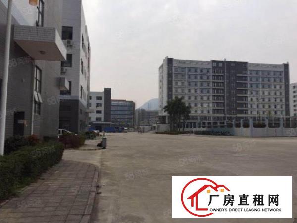  龙岗大型科技园1000平米起租带红本有装修（有政府补贴）