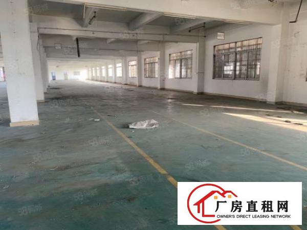  龙岗中心城红本厂房大小面积自由组合22元起