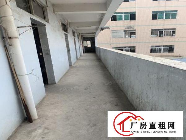  龙岗中心城红本厂房大小面积自由组合22元起