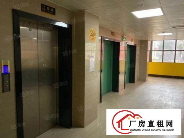  龙东电商创业空间精装带电梯近南联地铁站免费巴士接驳