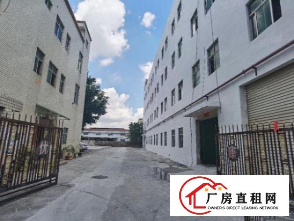  龙岗南通道8600平方独门独院新装修300起厂房出租可分租