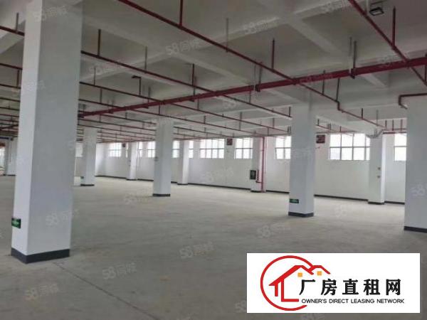  龙岗南通道8600平方独门独院新装修300起厂房出租可分租