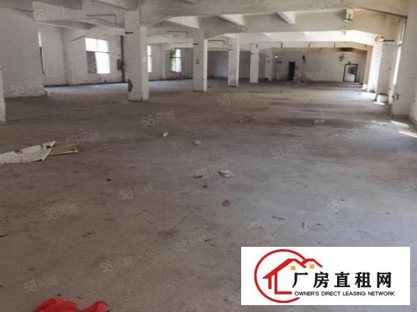  龙岗南通道8600平方独门独院新装修300起厂房出租可分租