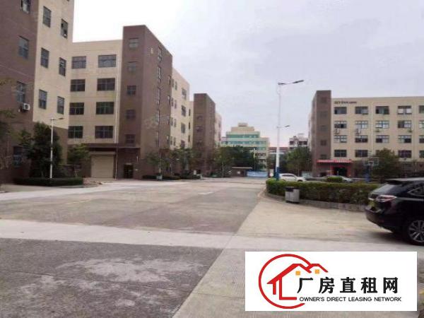  厂房出租龙岗中心城300平900平1800平大小可分租