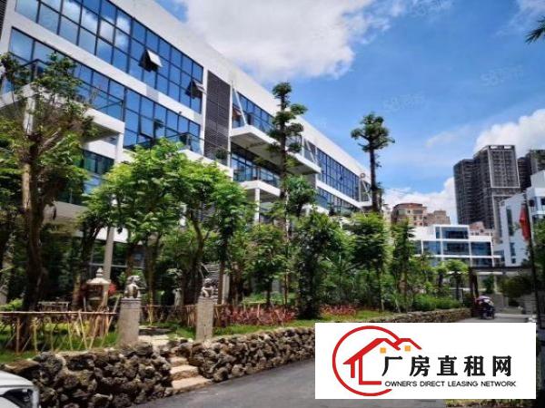  龙岗中心龙岗大道旁新出独院红本办公楼9100平商业消防可分租