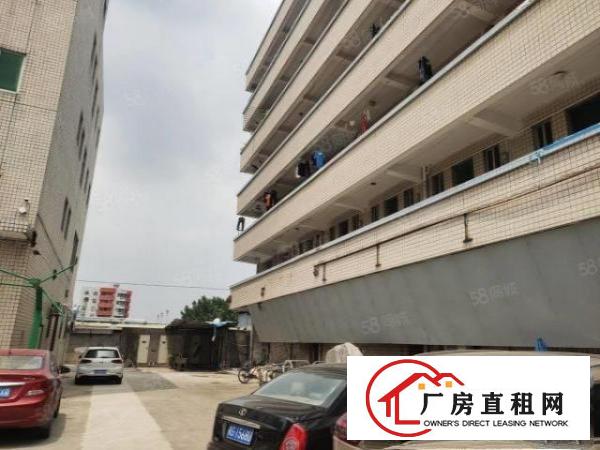  龙岗新生无尘车间厂房出租场地为原房东，带红本，价格仅18元