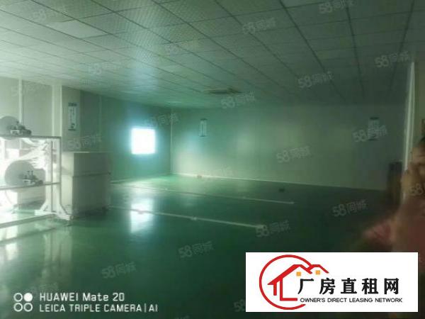  龙岗新生无尘车间厂房出租场地为原房东，带红本，价格仅18元