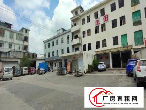  龙岗龙东原房东一楼200平方带办公室，空地超大