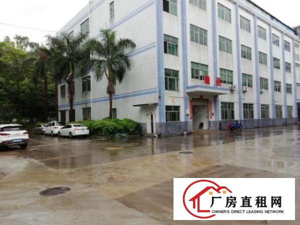  龙岗中心城一楼厂房500平一800平厂房出租空地大，大小分租
