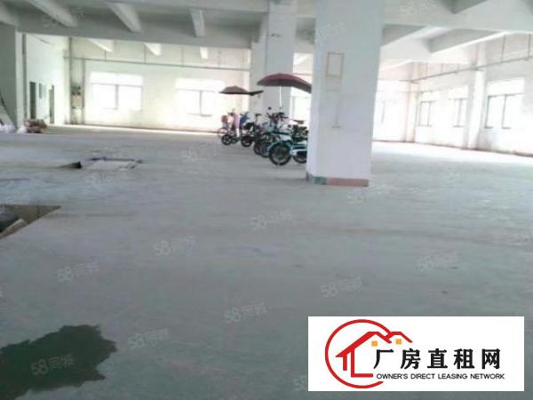  独门独院厂房出租1200平可办环评原房东红本厂房