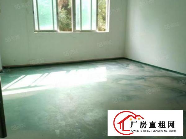  独门独院厂房出租1200平可办环评原房东红本厂房