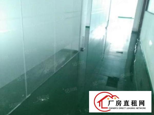  独门独院厂房出租1200平可办环评原房东红本厂房
