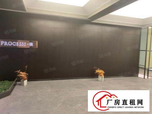  龙岗爱南路，利好创新中心，1400带2吨货梯办公室