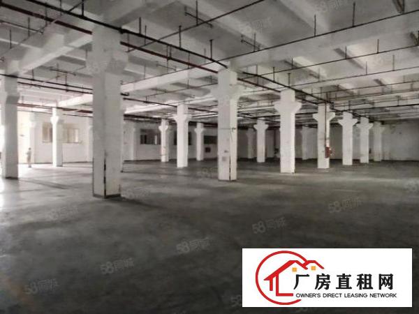 龙岗宝龙原房东标准6米高一楼厂房3500平带红本带